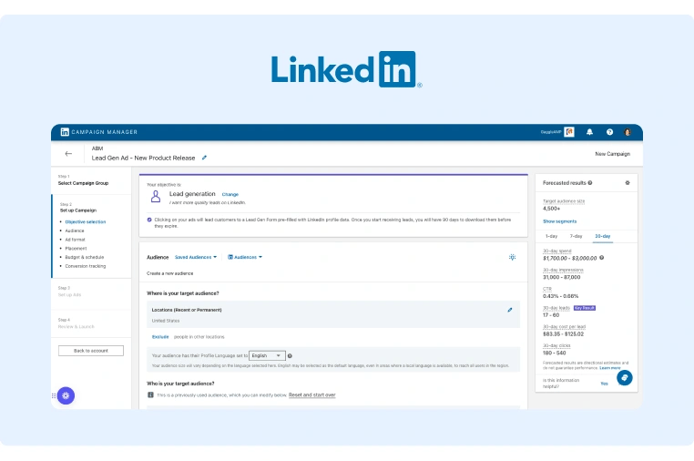An overview of a campaign as seen through LinkedIn Campaign Manager
