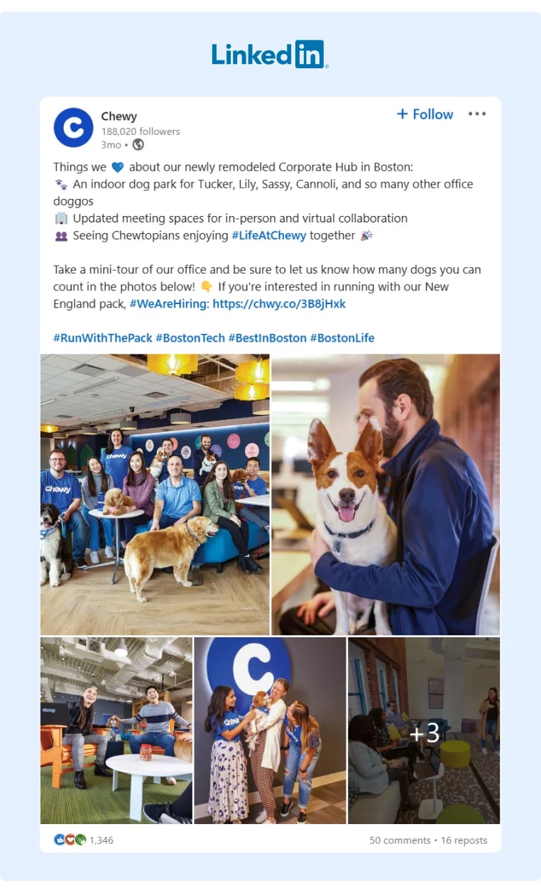 Chewy posted pictures of cute dogs promoting their remodeled offices