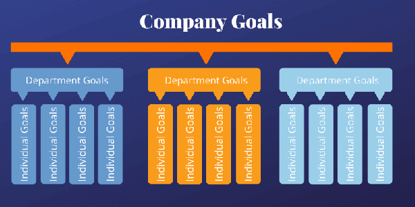 Company Goals