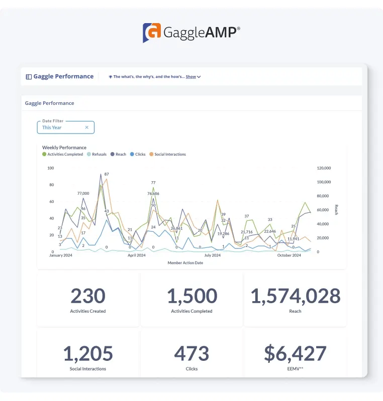 GaggleAMP All Activity Report