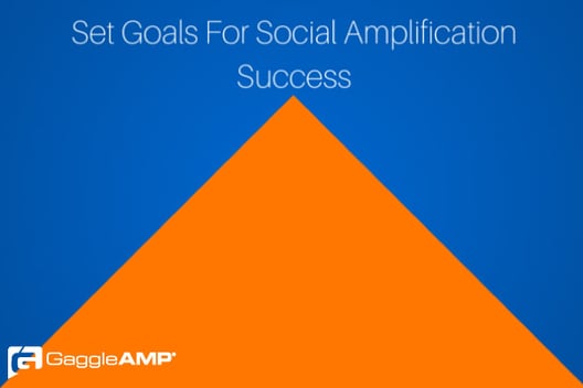Set Goals For Social Amplification Success