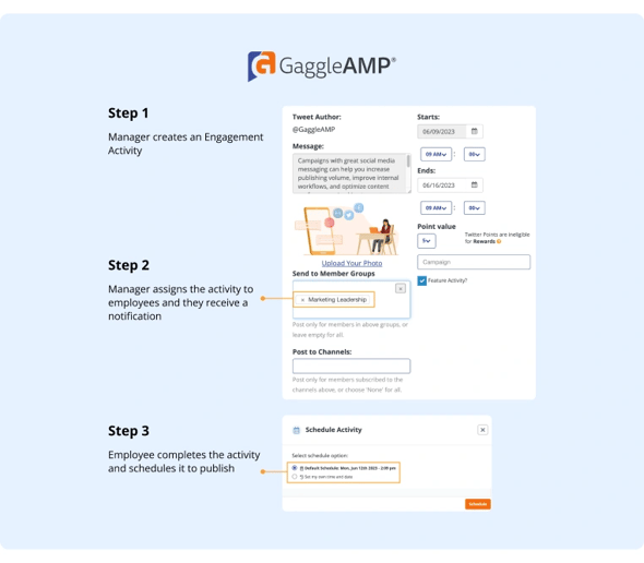 Overview of what the process looks like inside GaggleAMP