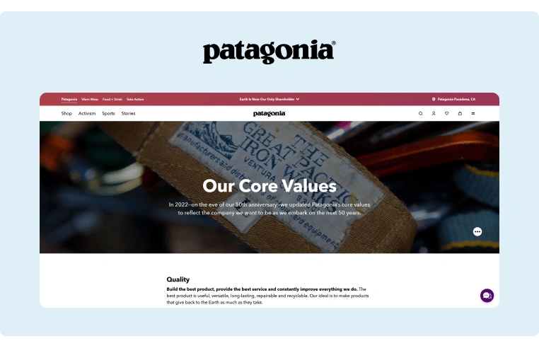 Personal Brand Statement Examples - Patagonia