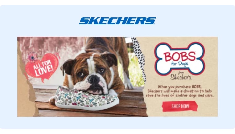 Skechers x Bobs donates money from their earnings towards animal shelters