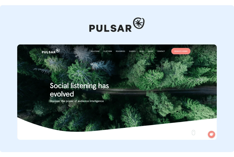 Social Media Management Tools - Pulsar
