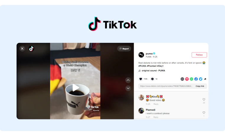 Brands are taking advantage of TikTok by sharing engaging marketing videos